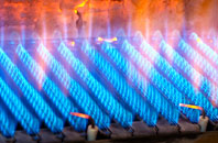 Pentrellwyn gas fired boilers